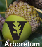 Vanderbilt Arboretum logo