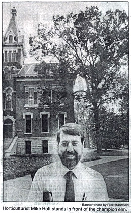 Champion September elm, 1985.