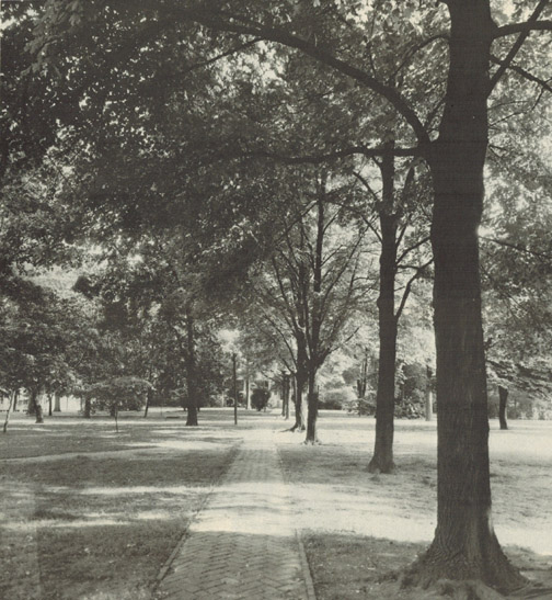 Brick walk to the chancellor's residence, 1920.