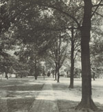 the chancellor's walk