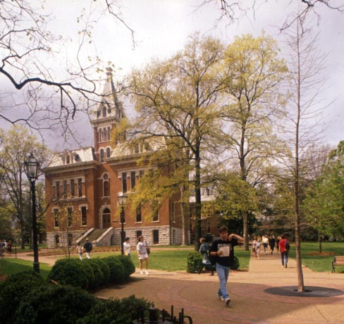 September elms by Benson Science Hall, c. 1995.