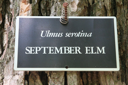 tree label