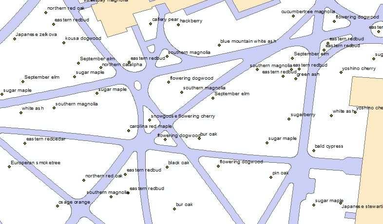 map of trees from GIS