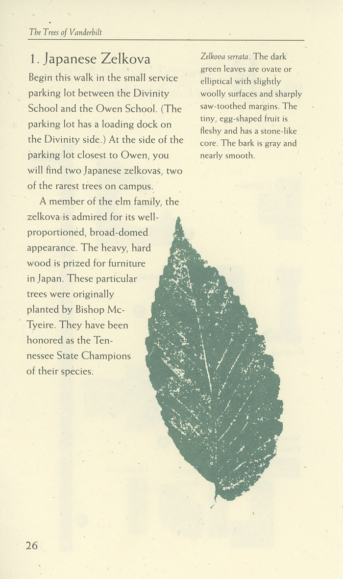 Image of a page from of the Trees of Vanderbilt