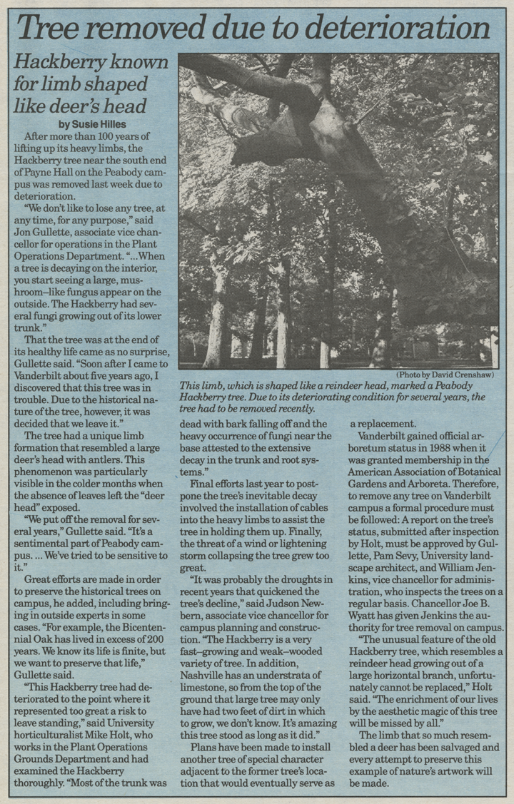 Deer head tree, 1990.